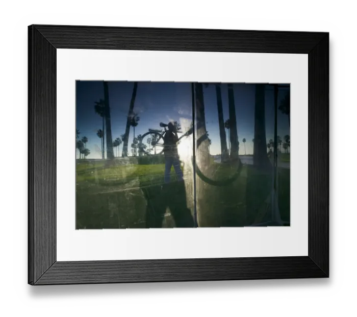 Framed Print : Window reflecting palm trees and cyclist carrying bicyle Framed Print : Window reflecting palm trees and cyclist carrying bicyle