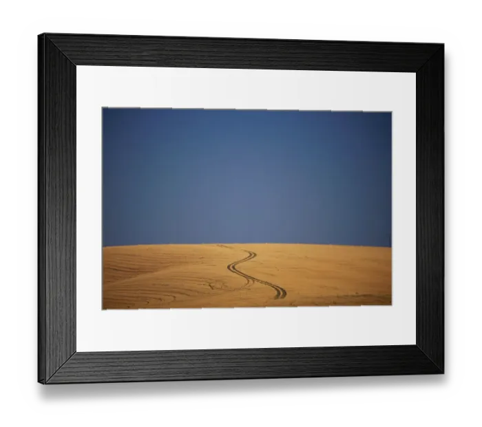 Framed Print : Herd of Wildebeest walking in Amboseli National Park, Kenya Framed Print : Herd of Wildebeest walking in Amboseli National Park, Kenya