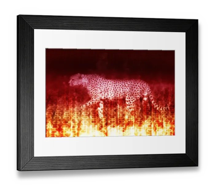 Framed Print : Cheetah Framed Print : Cheetah