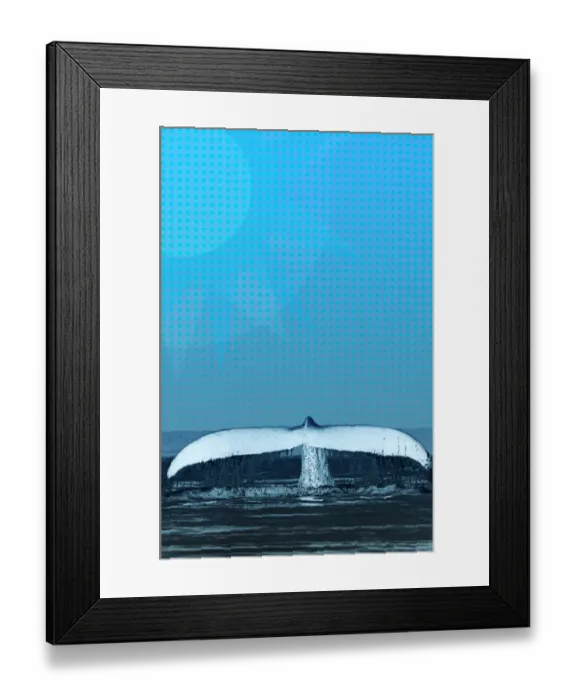 Framed Print : Fin of Humpback Whale Framed Print : Fin of Humpback Whale