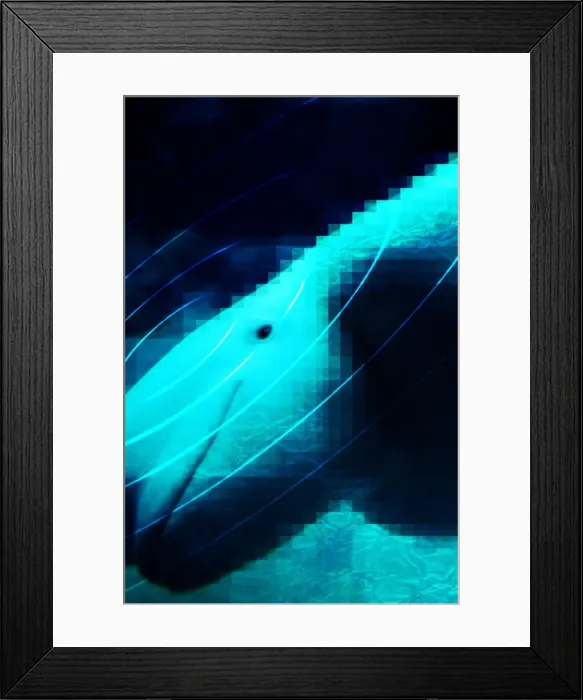 Framed Print : Beluga Whale