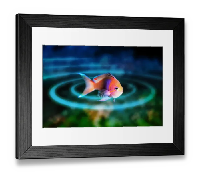 Framed Print : Fish Framed Print : Fish