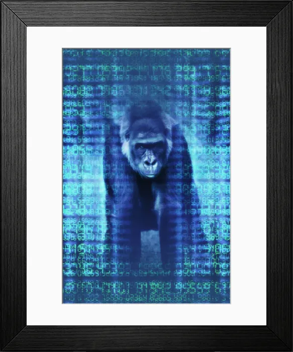 Framed Print : Gorilla Framed Print : Gorilla