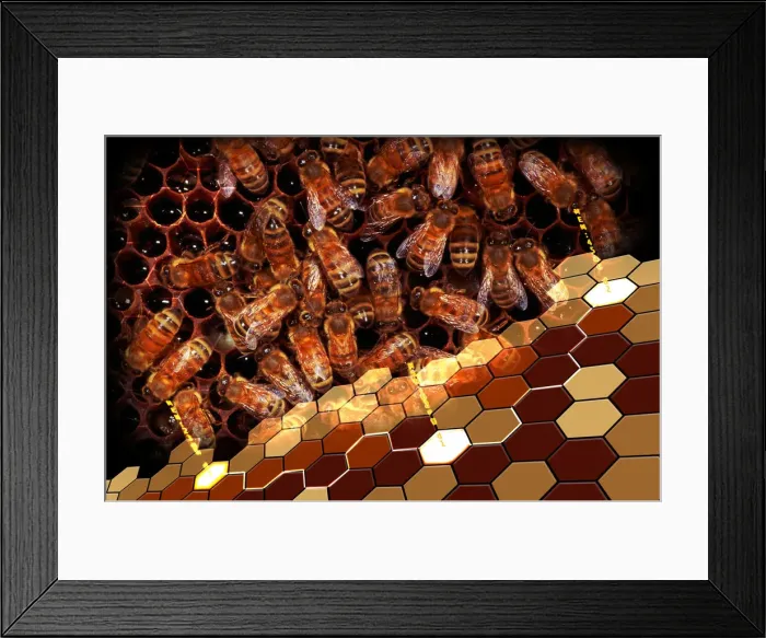 Framed Print : Beehive Framed Print : Beehive