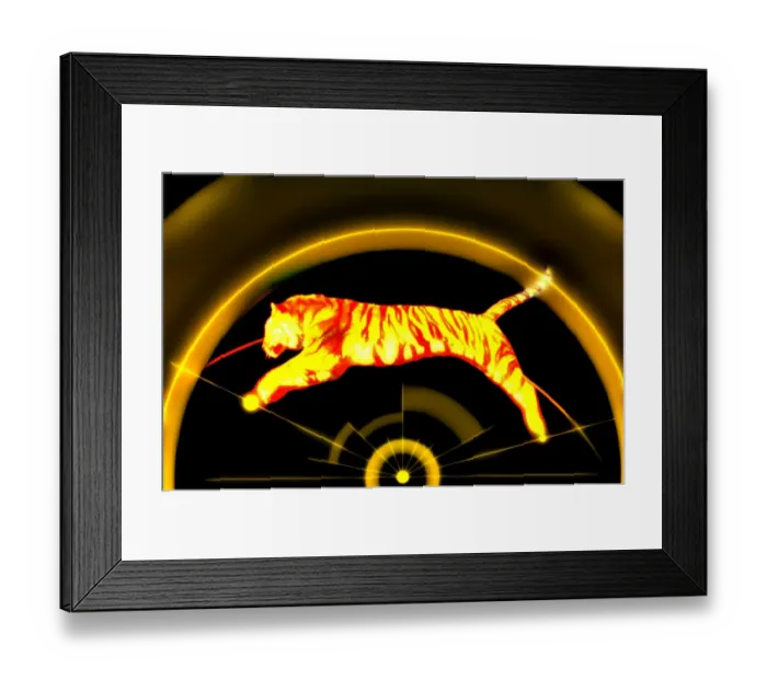 Framed Print : Tiger Jumping Framed Print : Tiger Jumping