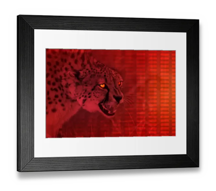 Framed Print : Cheetah Framed Print : Cheetah