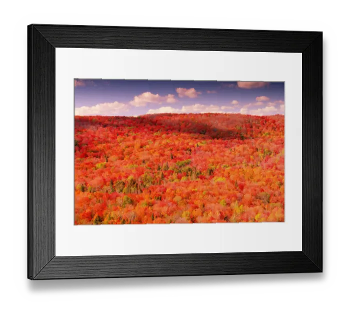 Framed Print : USA, Minnesota, Sawtooth Mountains, forest in autumn, elevated view Framed Print : USA, Minnesota, Sawtooth Mountains, forest in autumn, elevated view