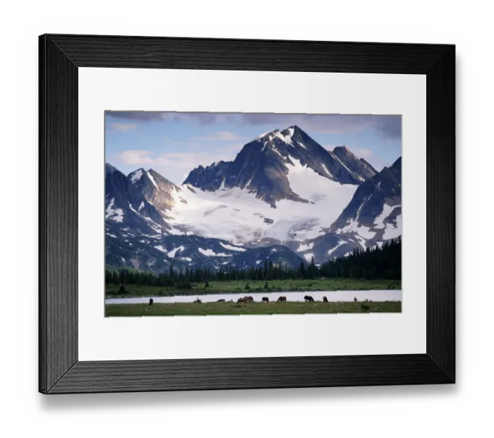 Framed Print : Horses in Tonquin Valley, Jasper National Park, Canada Framed Print : Horses in Tonquin Valley, Jasper National Park, Canada