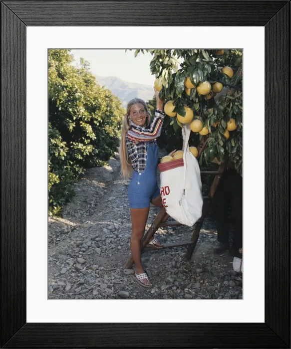 Framed Print : Young woman picking pummelo, smiling, portrait Framed Print : Young woman picking pummelo, smiling, portrait