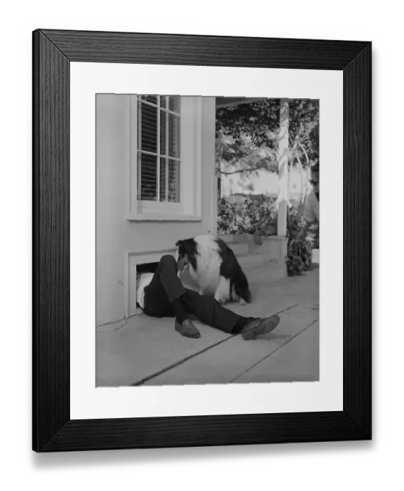 Framed Print : Man partly inside air duct and dog sitting beside him Framed Print : Man partly inside air duct and dog sitting beside him