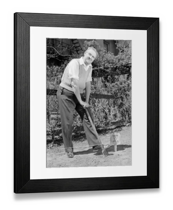 Framed Print : Portrait of senior man digging in garden Framed Print : Portrait of senior man digging in garden