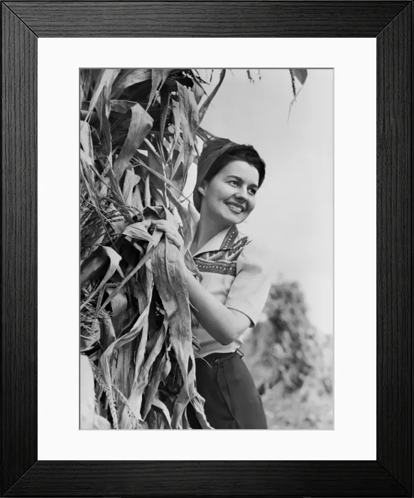 Framed Print : Woman standing behind tree, smiling Framed Print : Woman standing behind tree, smiling