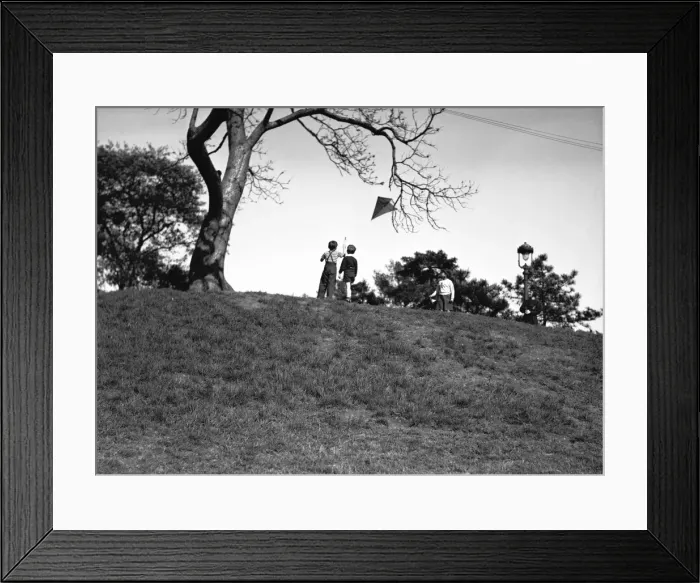 Framed Print : Two boys (10-11) flying kite on hill, (rear view), (B&W) Framed Print : Two boys (10-11) flying kite on hill, (rear view), (B&W)
