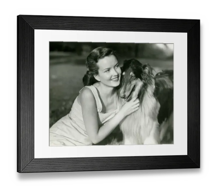 Framed Print : Young woman hugging Collie in park Framed Print : Young woman hugging Collie in park