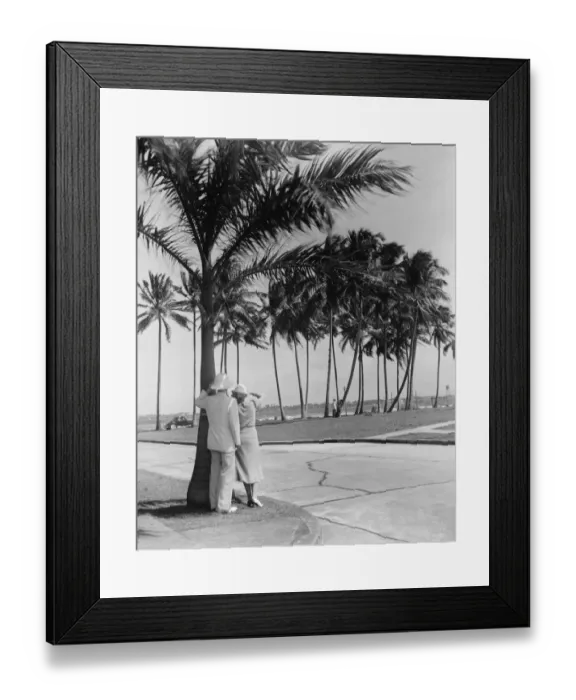 Framed Print : Couple standing at palm tree, (Rear view) (B&W) Framed Print : Couple standing at palm tree, (Rear view) (B&W)