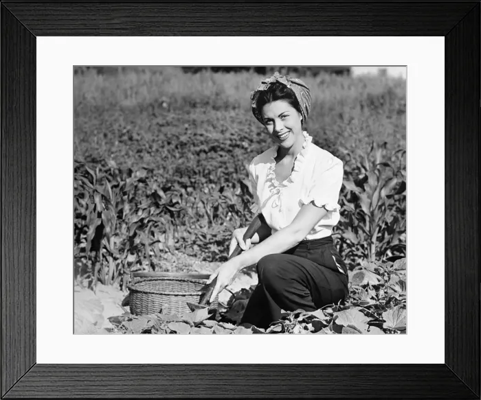 Framed Print : Young woman working in field, (B&W), portrait Framed Print : Young woman working in field, (B&W), portrait