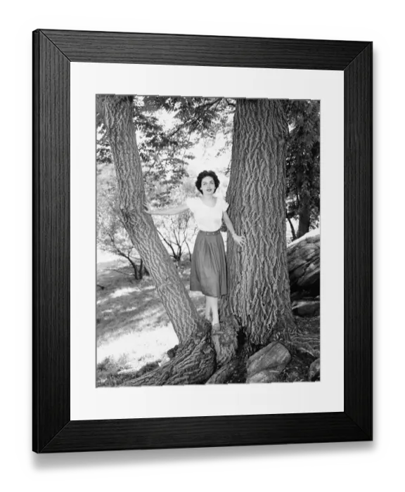 Framed Print : Woman posing between two tree trunks, (B&W), portrait Framed Print : Woman posing between two tree trunks, (B&W), portrait