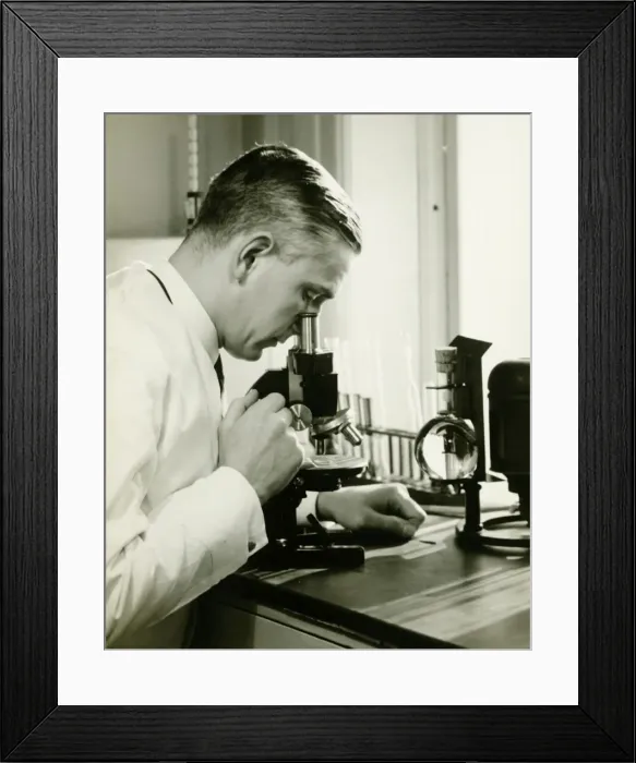 Framed Print : Male doctor using microscope in surgery, (B&W) Framed Print : Male doctor using microscope in surgery, (B&W)