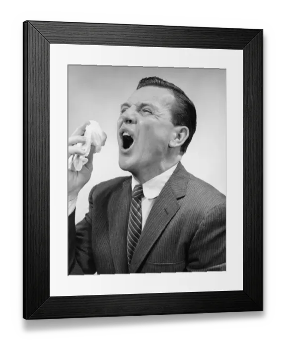 Framed Print : Man sneezing, posing in studio, (B&W), close-up Framed Print : Man sneezing, posing in studio, (B&W), close-up