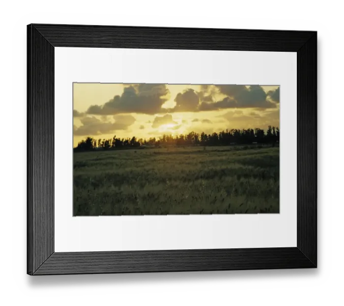 Framed Print : Sunrise In Field