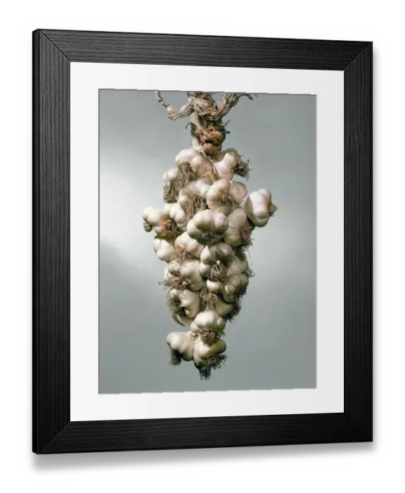 Framed Print : Garlic Bulbs Framed Print : Garlic Bulbs
