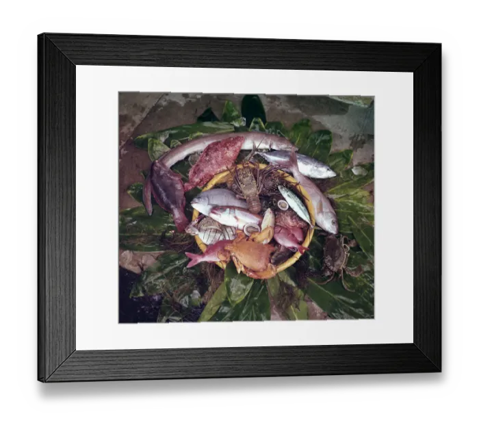 Framed Print : A Basket Of Fresh Caught Seafood Framed Print : A Basket Of Fresh Caught Seafood