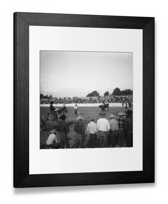 Framed Print : Rodeo