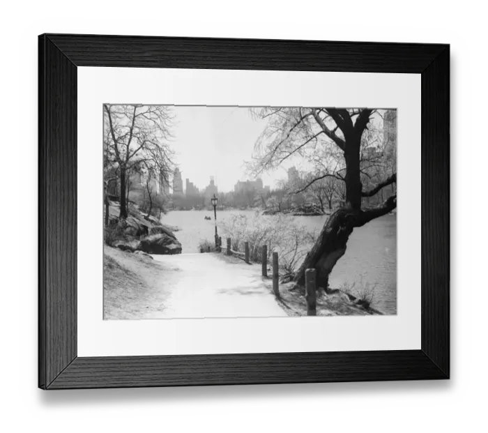 Framed Print : Urban park with lake Framed Print : Urban park with lake