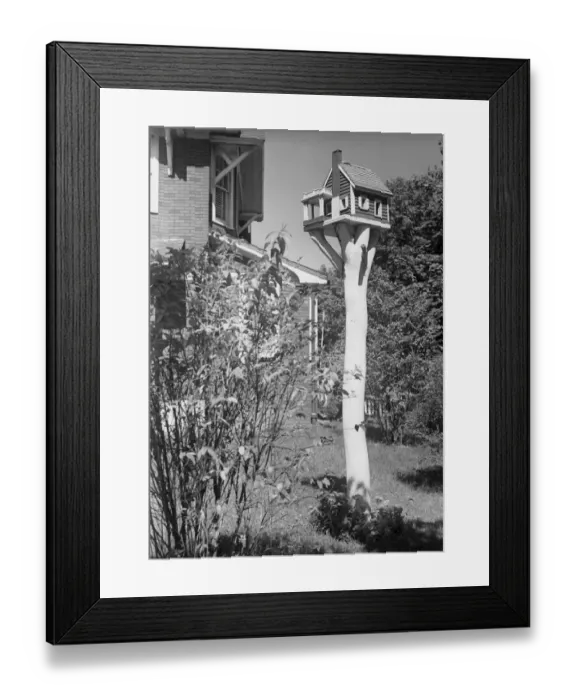 Framed Print : Bird house in garden Framed Print : Bird house in garden
