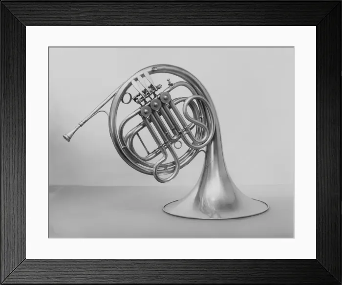 Framed Print : Studio shot of French horn Framed Print : Studio shot of French horn