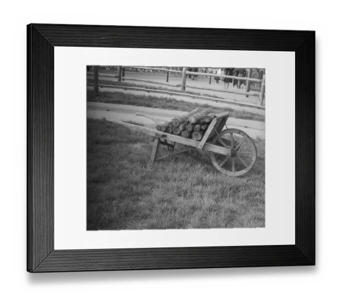 Framed Print : Wheelbarrow with logs Framed Print : Wheelbarrow with logs