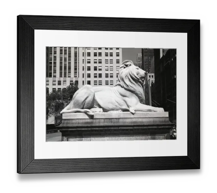 Framed Print : USA, New York City, lion statue outside New York Public Library