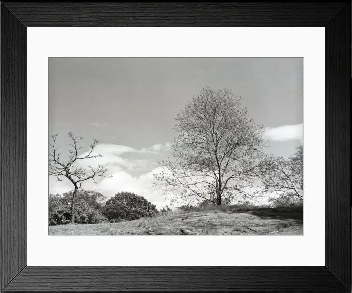 Framed Print : Rural landscape Framed Print : Rural landscape