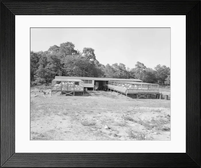 Framed Print : Coop on stilts Framed Print : Coop on stilts