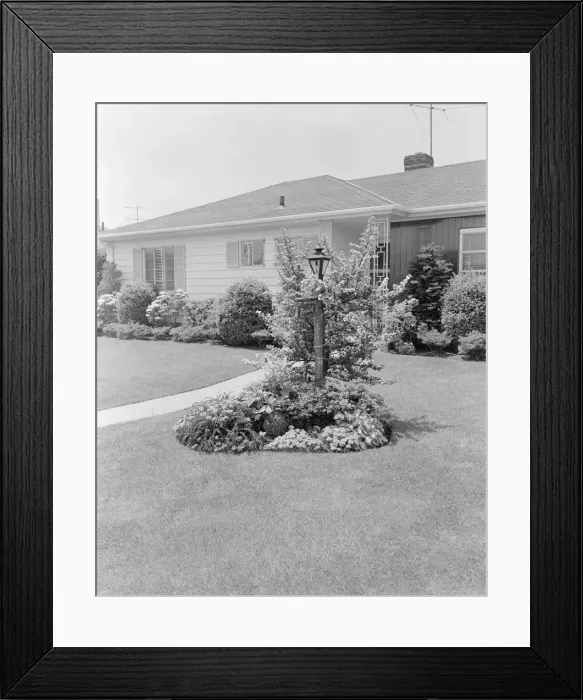 Framed Print : Domestic garden Framed Print : Domestic garden