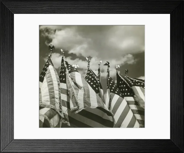 Framed Print : Row of American flags Framed Print : Row of American flags
