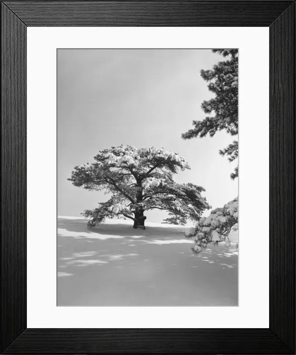 Framed Print : Winter landscape, (B&W) Framed Print : Winter landscape, (B&W)