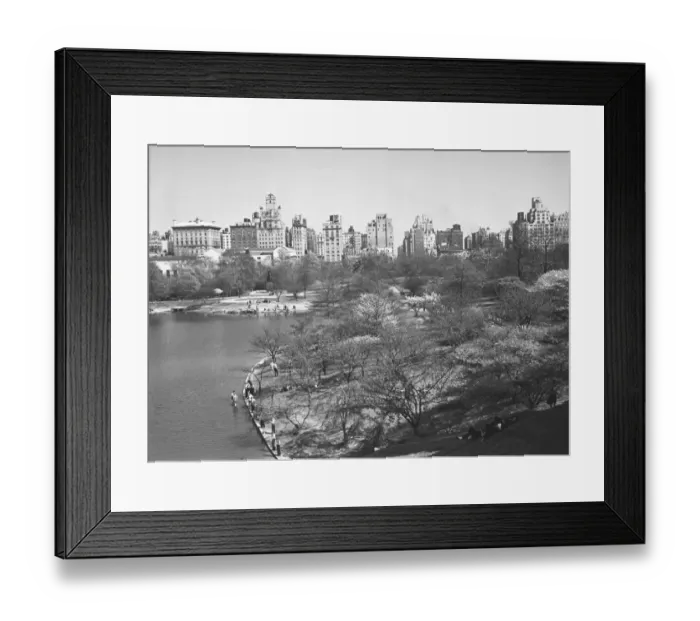 Framed Print : USA, New York City, Central Park (B&W) Framed Print : USA, New York City, Central Park (B&W)