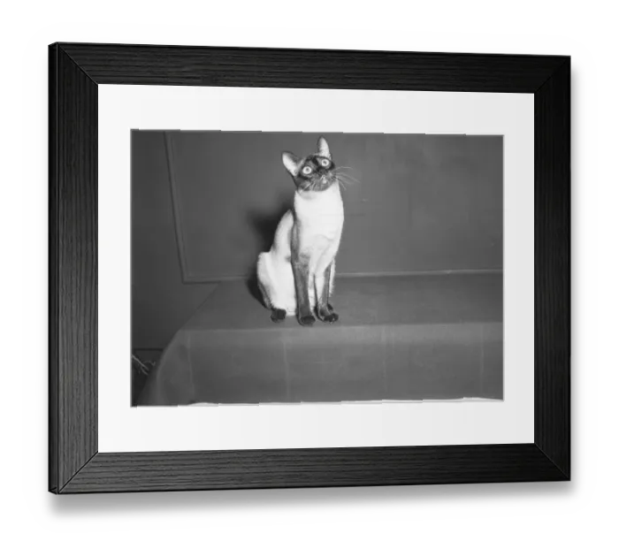Framed Print : People relaxing by pond, city in background, (B&W), elevated view Framed Print : People relaxing by pond, city in background, (B&W), elevated view