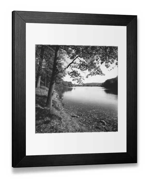 Framed Print : Trees by river, (B&W) Framed Print : Trees by river, (B&W)