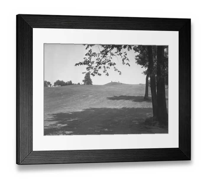 Framed Print : Lawn and trees, (B&W) Framed Print : Lawn and trees, (B&W)