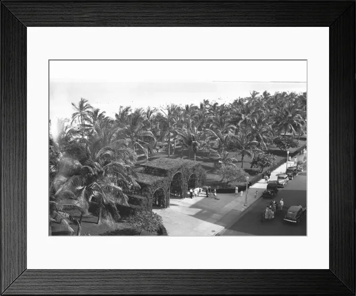 Framed Print : Gate and palm trees at coastline, (B&W), elevated view Framed Print : Gate and palm trees at coastline, (B&W), elevated view