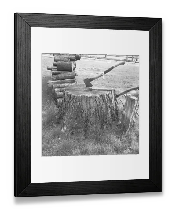 Framed Print : Axe in stump, (B&W) Framed Print : Axe in stump, (B&W)