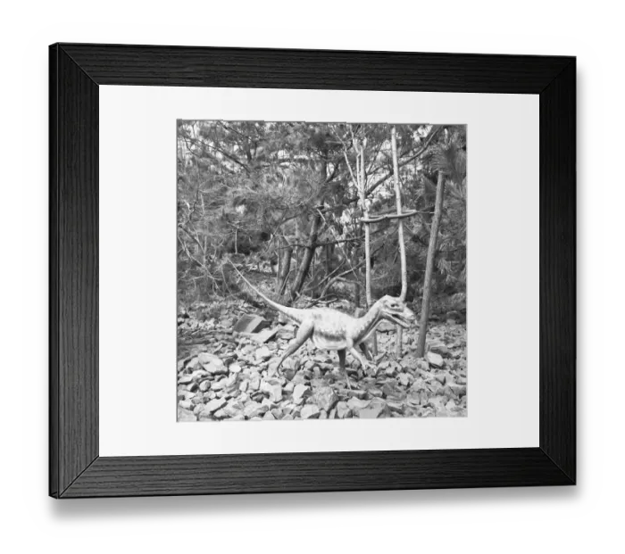 Framed Print : Model of dinosaur, (B&W) Framed Print : Model of dinosaur, (B&W)
