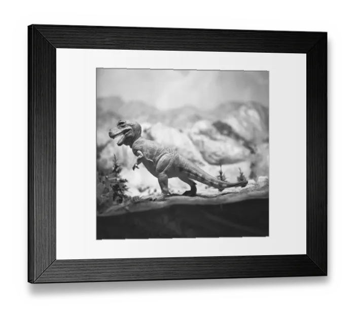 Framed Print : Model of tyrannosaurus rex, (B&W) Framed Print : Model of tyrannosaurus rex, (B&W)