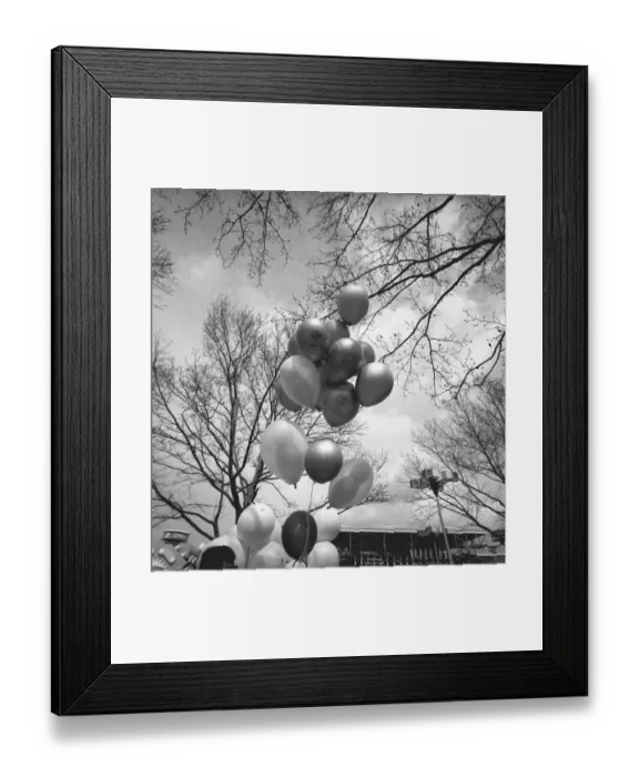 Framed Print : Bunch of balloons outdoors, (B&W), low angle view Framed Print : Bunch of balloons outdoors, (B&W), low angle view