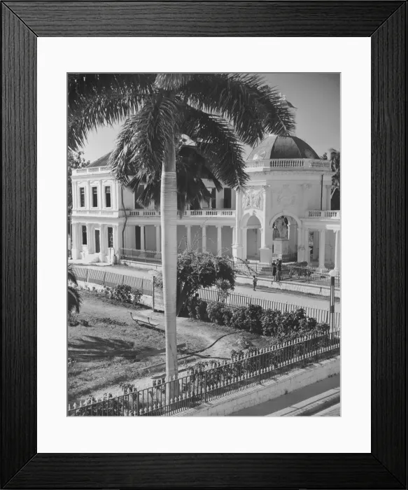 Framed Print : Elegant residence and palm tree (B&W), elevated view Framed Print : Elegant residence and palm tree (B&W), elevated view