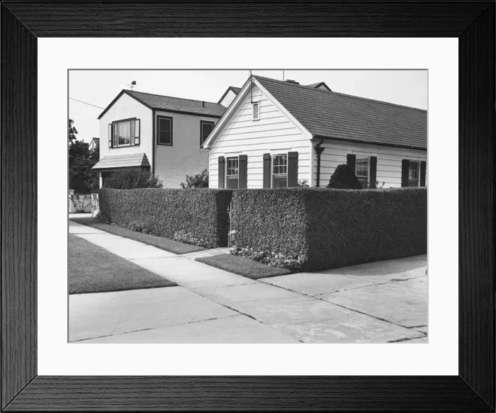 Framed Print : Two suburb houses with hedge, (B&W) Framed Print : Two suburb houses with hedge, (B&W)