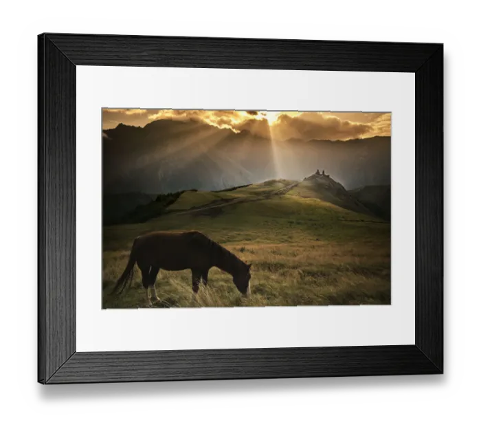 Framed Print : A Horse in Caucasus Mountains at morning Framed Print : A Horse in Caucasus Mountains at morning
