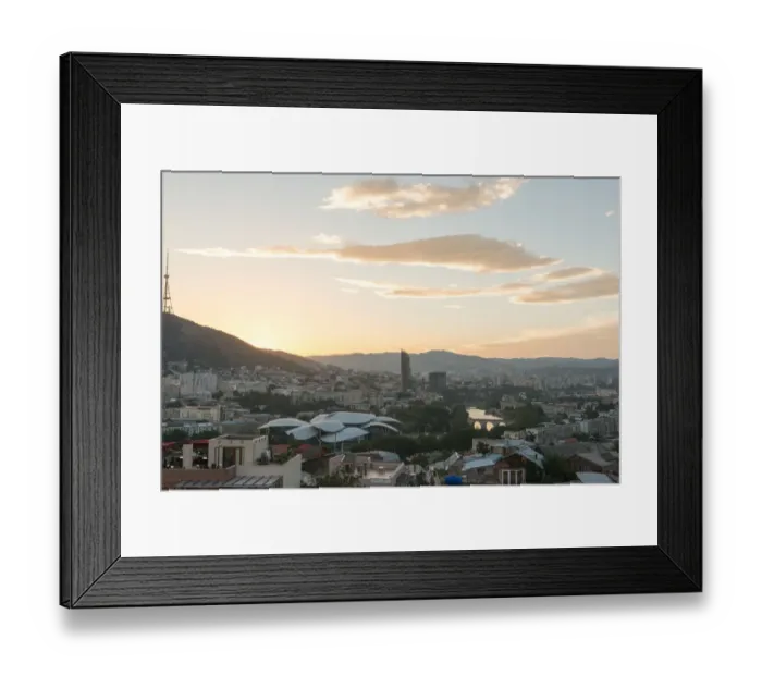 Framed Print : Tbilisi (Georgia) with the Public Service Hall